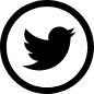 Twiter logo
